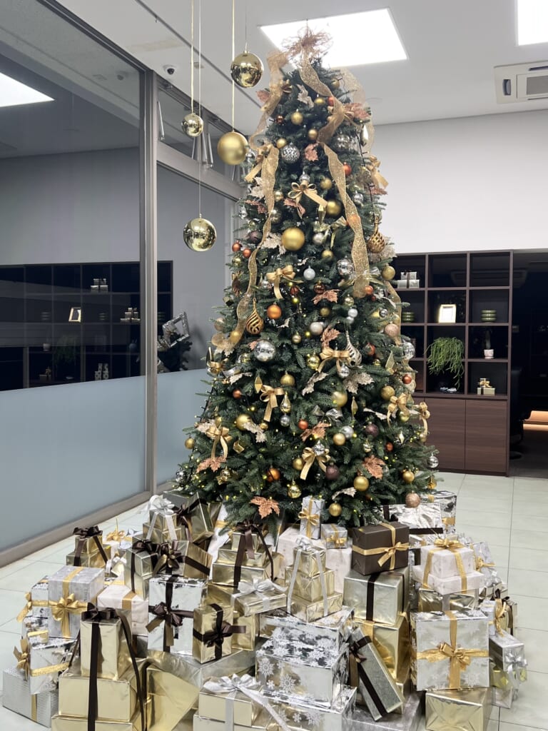 クリスマスツリーを飾りました🎄✨