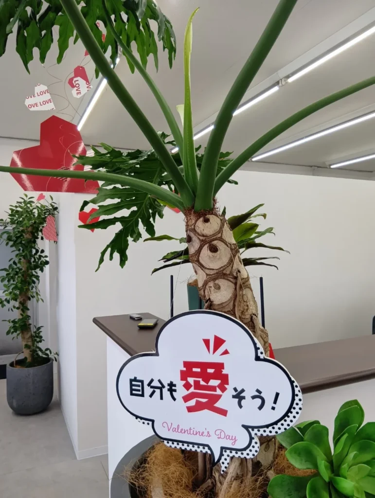 バレンタインの季節🥰