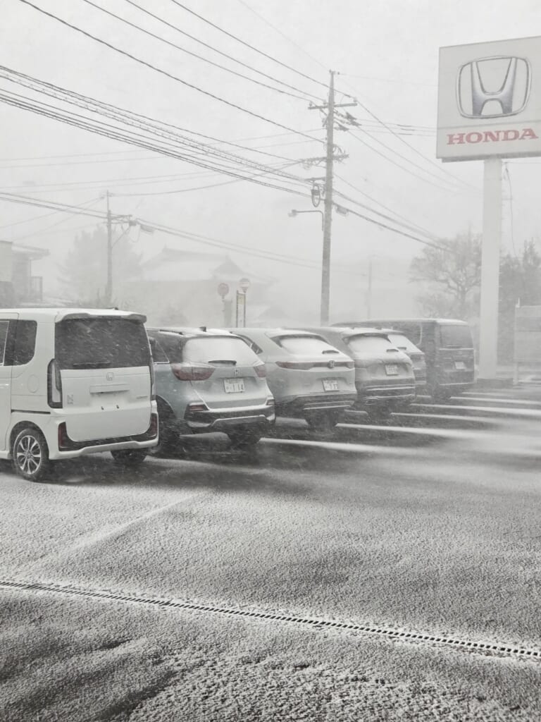 寒波到来してまいりました⛄