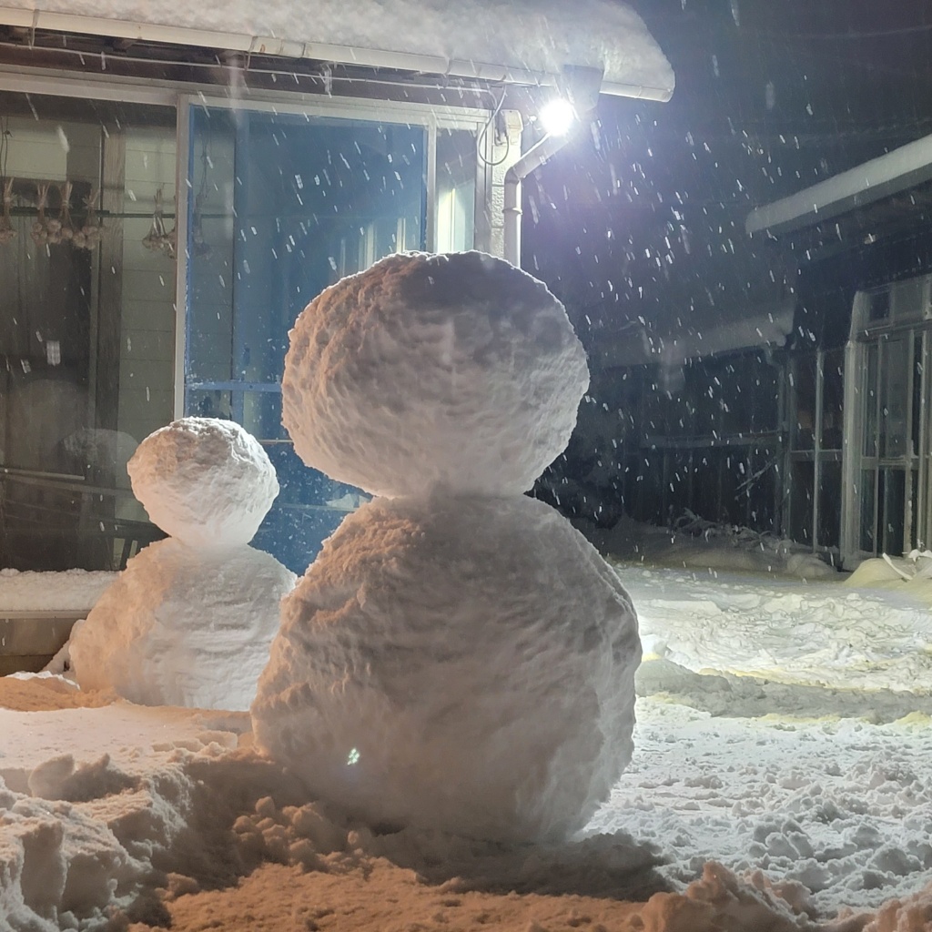 田布施も雪が降りましたが…